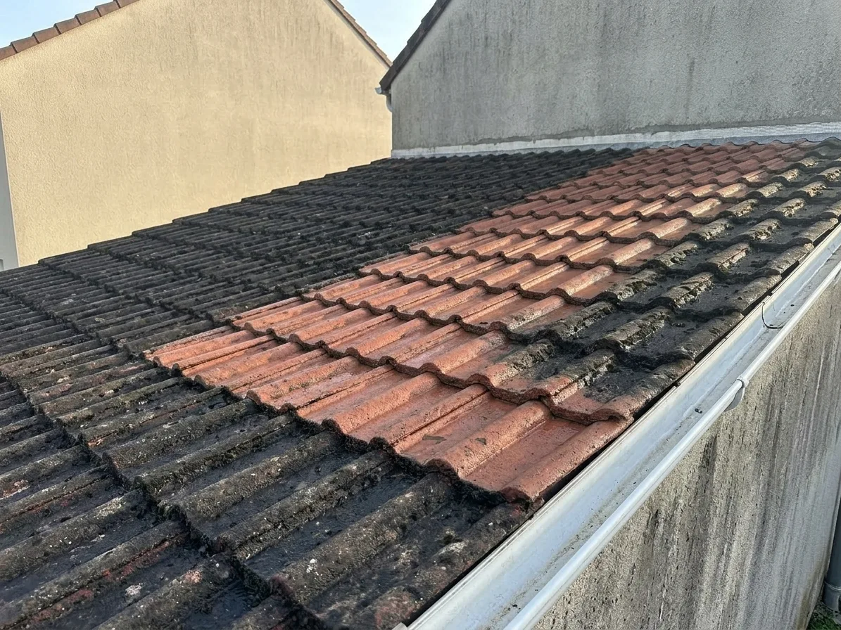 Démoussage de toiture à Moissy-Cramayel Démoussage de toiture à Moissy-Cramayel